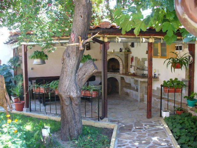 Guest House Alex Черноморець Екстер'єр фото